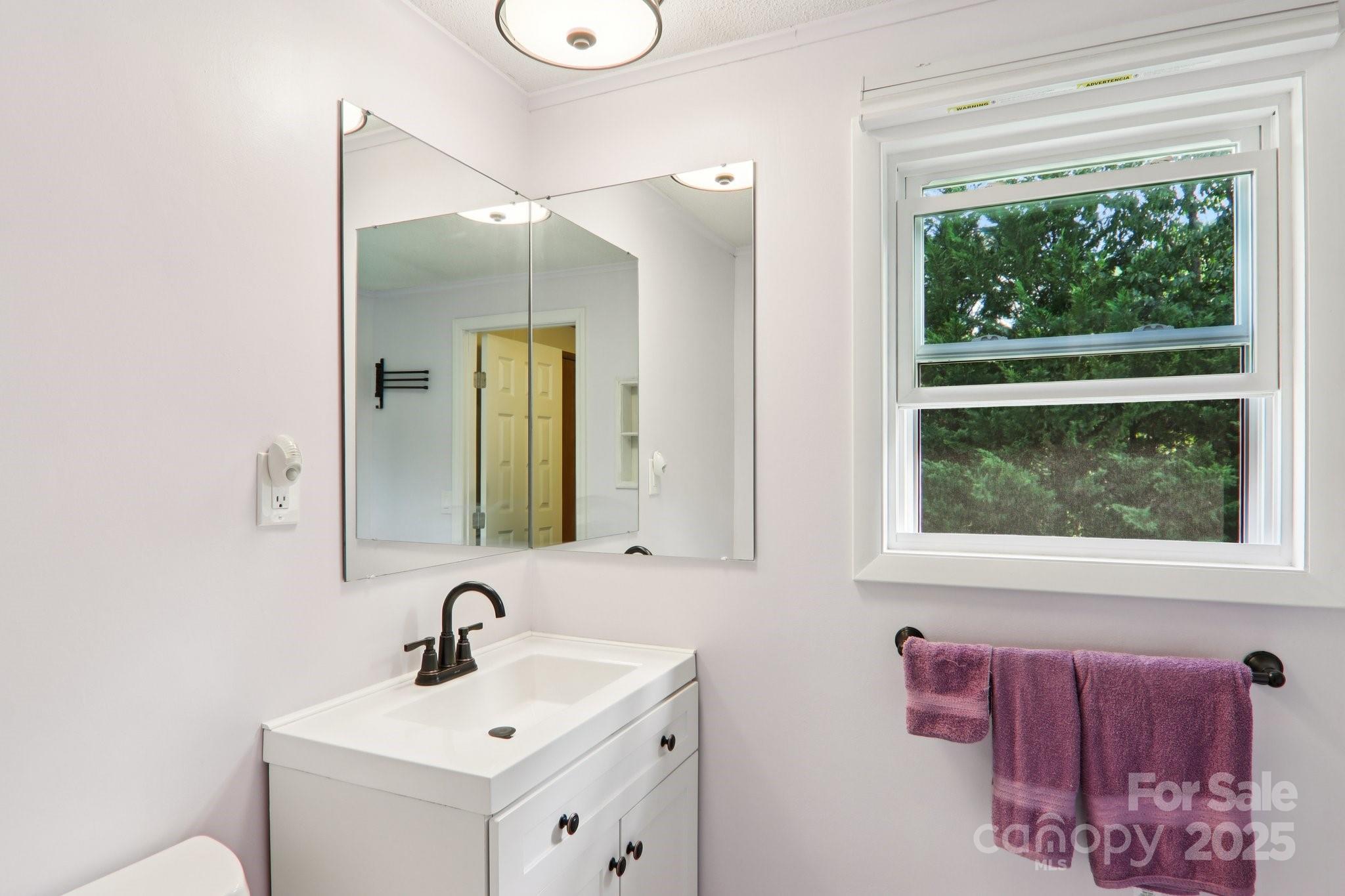 226 Cranbrook Circle Hendersonville, NC 28792 - Photo 22 of 47 a bathroom with a sink and a mirror