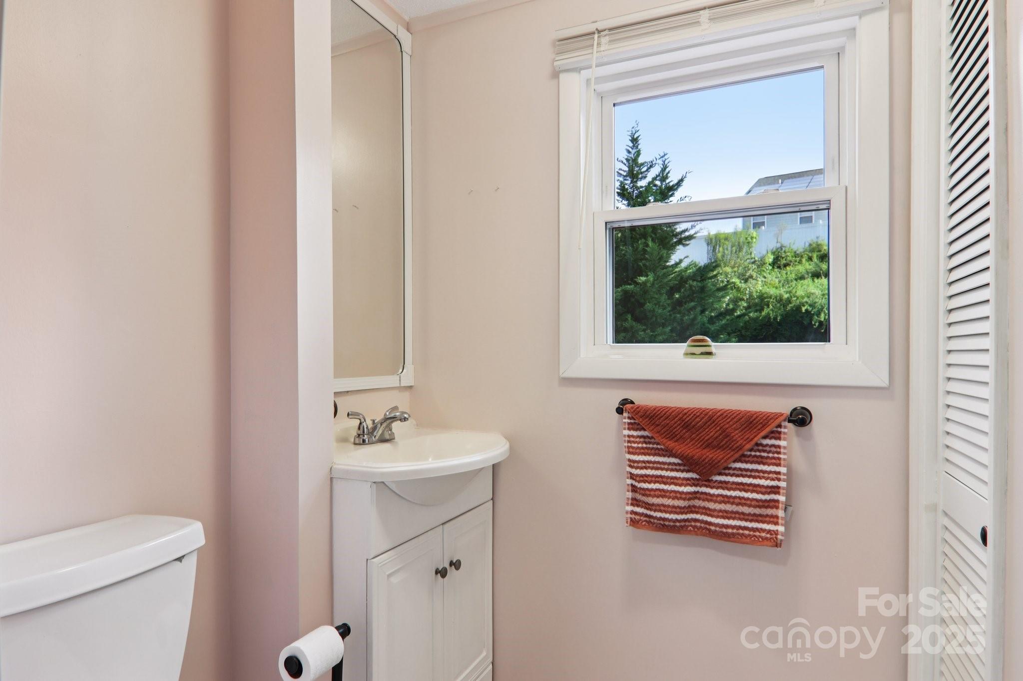 226 Cranbrook Circle Hendersonville, NC 28792 - Photo 26 of 47 a view of bathroom with a sink a mirror and a toilet