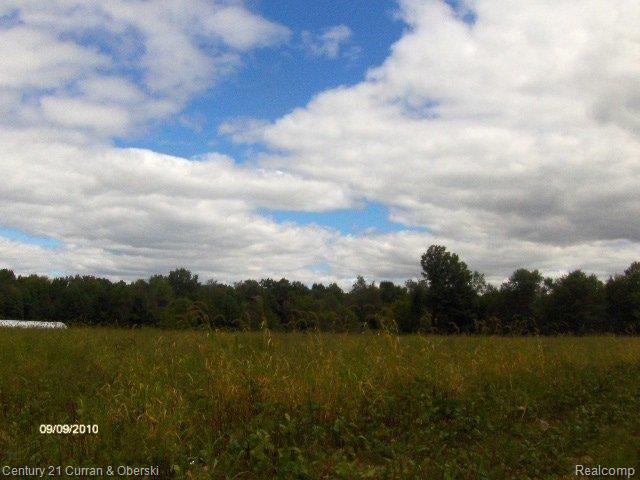 22965 Karr Road Belleville, MI 48111 - Photo 5 of 9 karr rd land dakmac 006