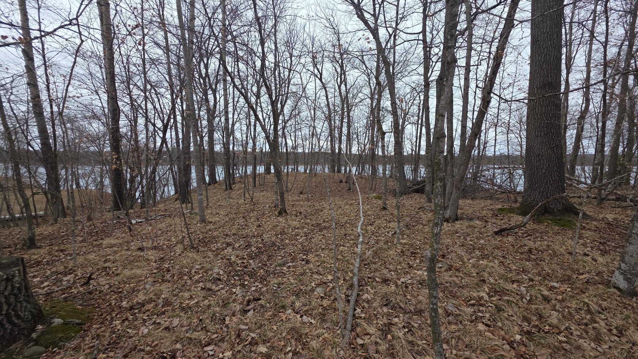 Tbd Southwest Tbd Sw Pickerel Lake Road Detroit Lakes, MN 56501 - Photo 9 of 13