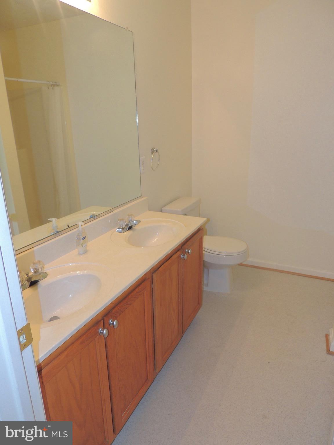 21278 Jacobs Ford Road Lignum, VA 22726 - Photo 22 of 27 Master bath - double sinks