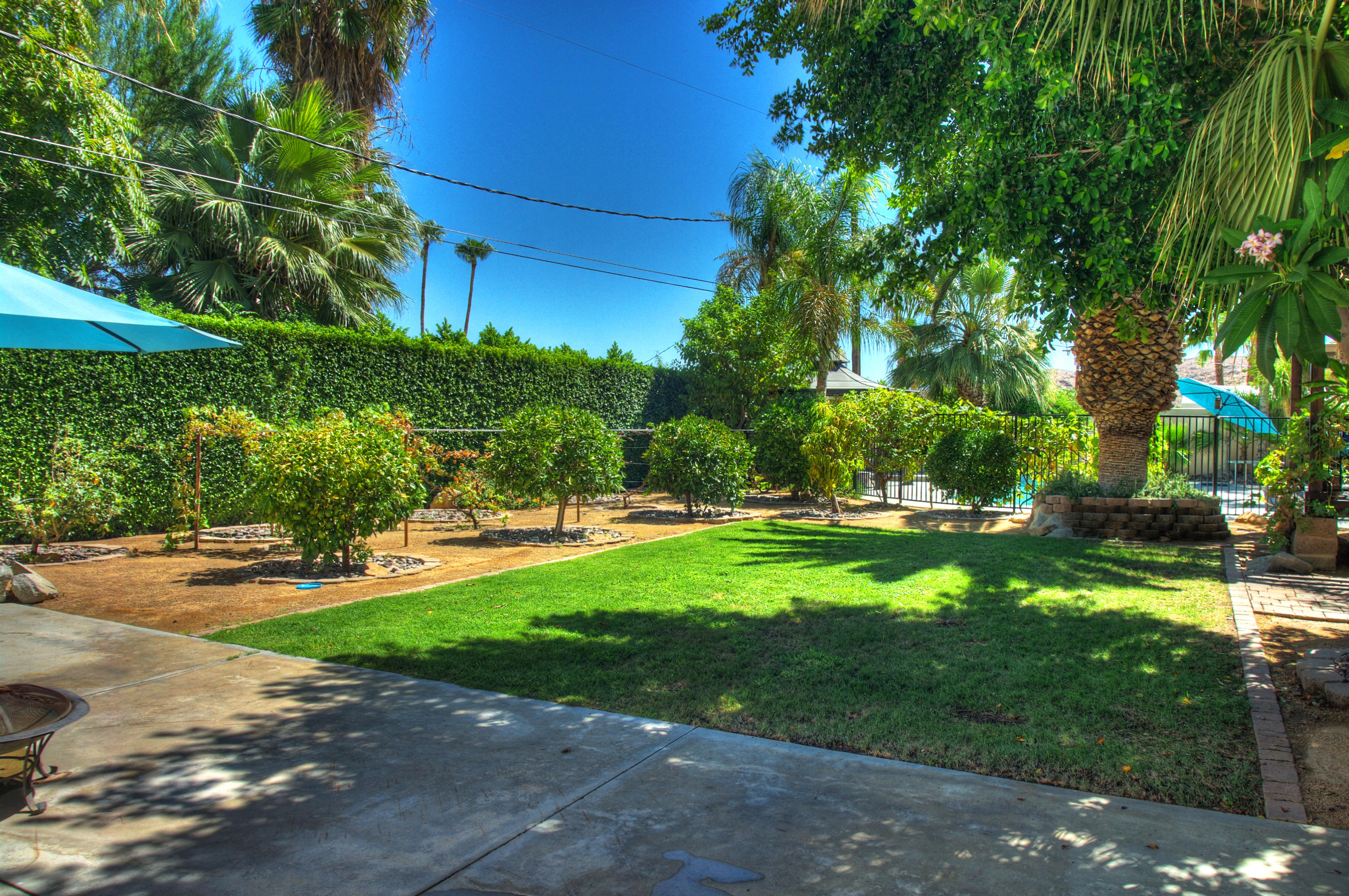 68446 Terrace Road Cathedral City, CA 92234 - Photo 76 of 81 a view of a backyard with large trees