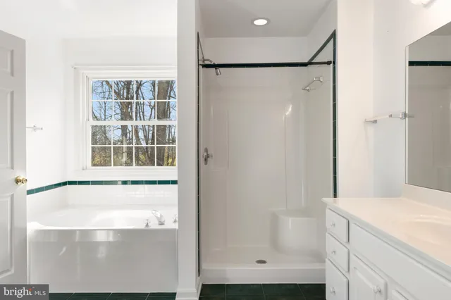 a bathroom with a shower and a bath tub