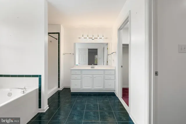 a bathroom with a sink a mirror and a bathtub