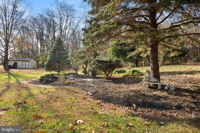a view of a yard with plants and trees