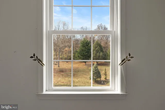 a view of a window