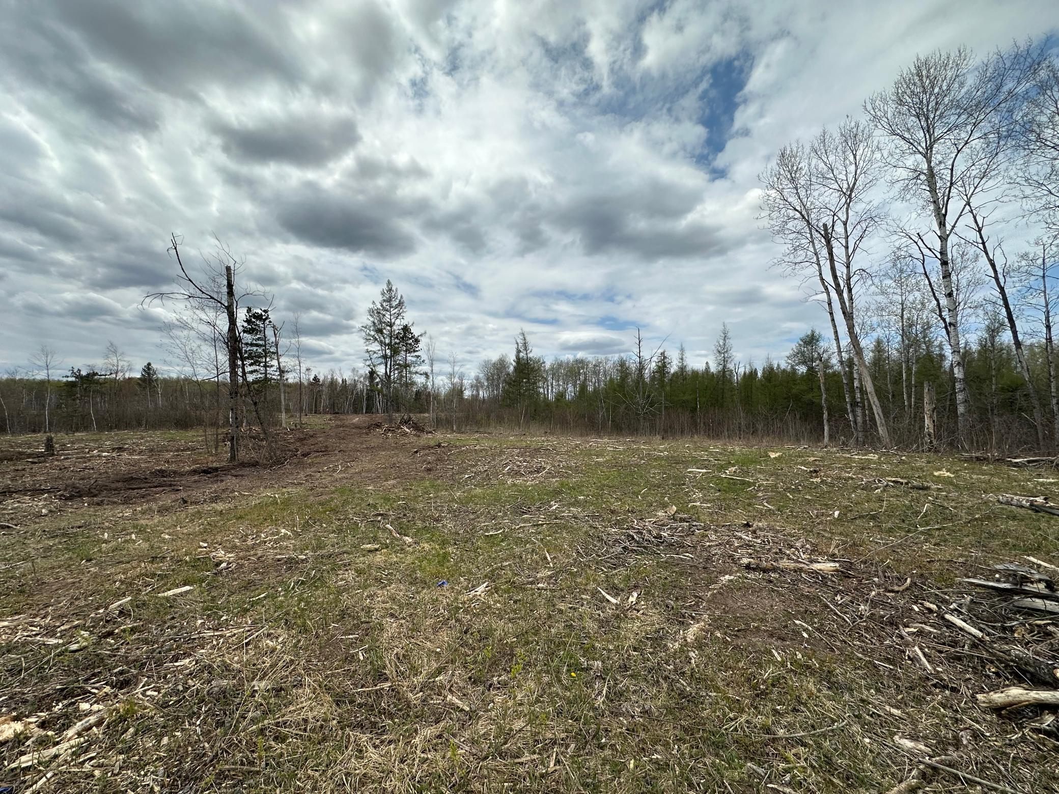 Tbd #4 Koecher Road Kerrick, MN 55756 - Photo 8 of 14 Gallery Image 8