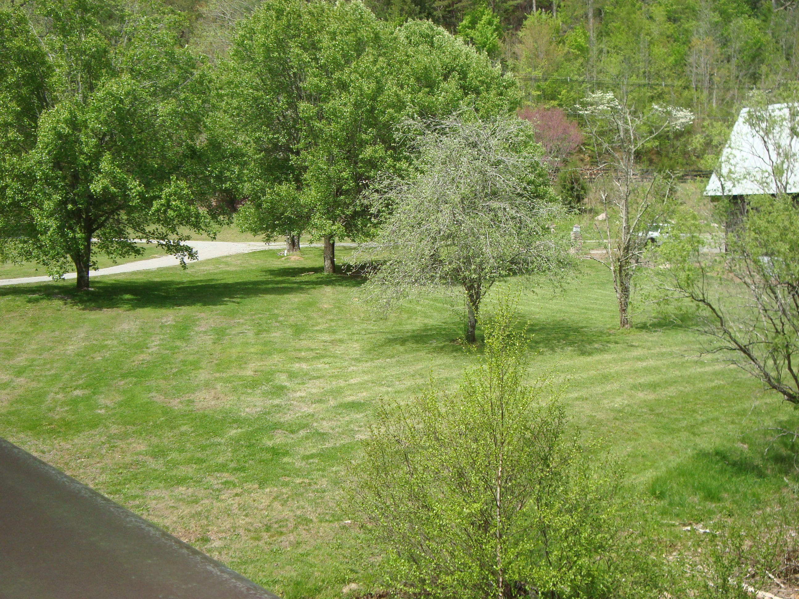 1 Rafter Road Road Tellico Plains, TN 37385 - Photo 14 of 39 DSC04295