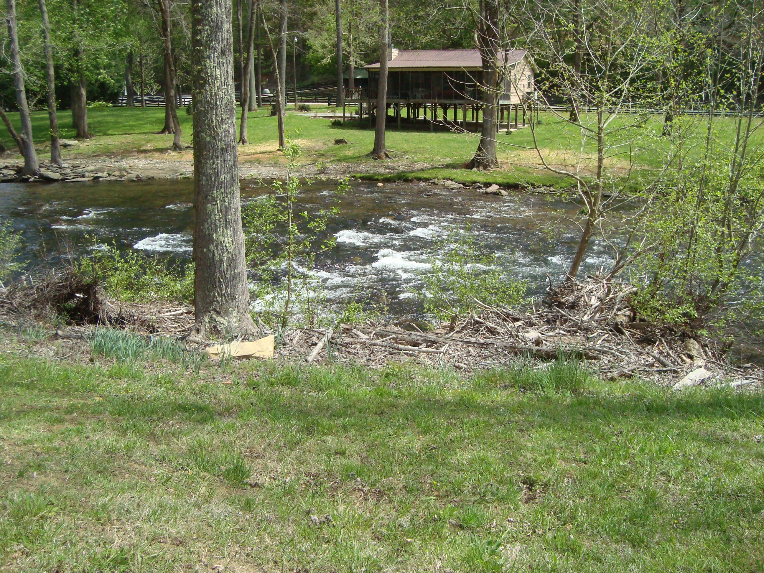 1 Rafter Road Road Tellico Plains, TN 37385 - Photo 22 of 39 DSC04303
