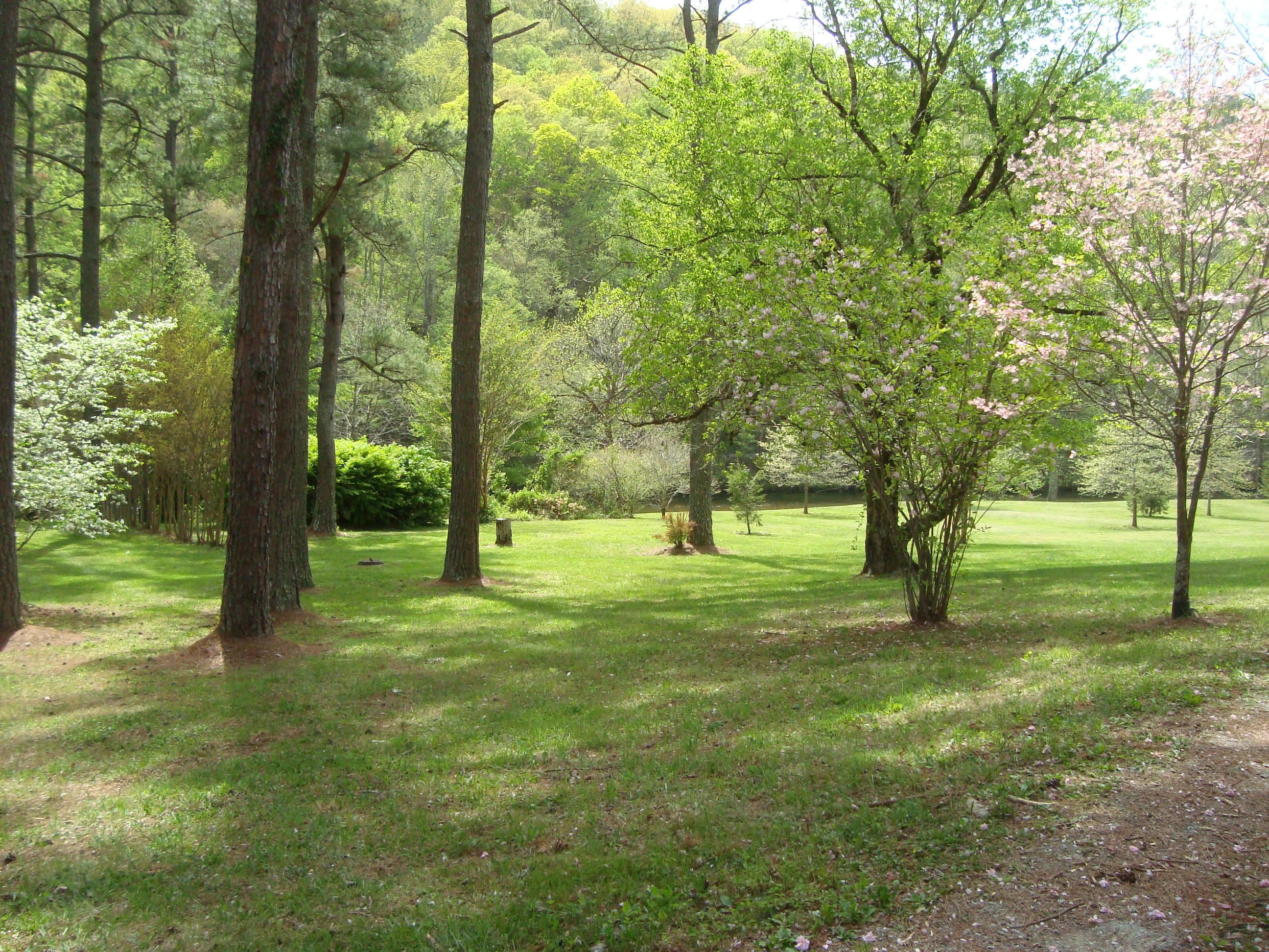 1 Rafter Road Road Tellico Plains, TN 37385 - Photo 24 of 39 DSC04305