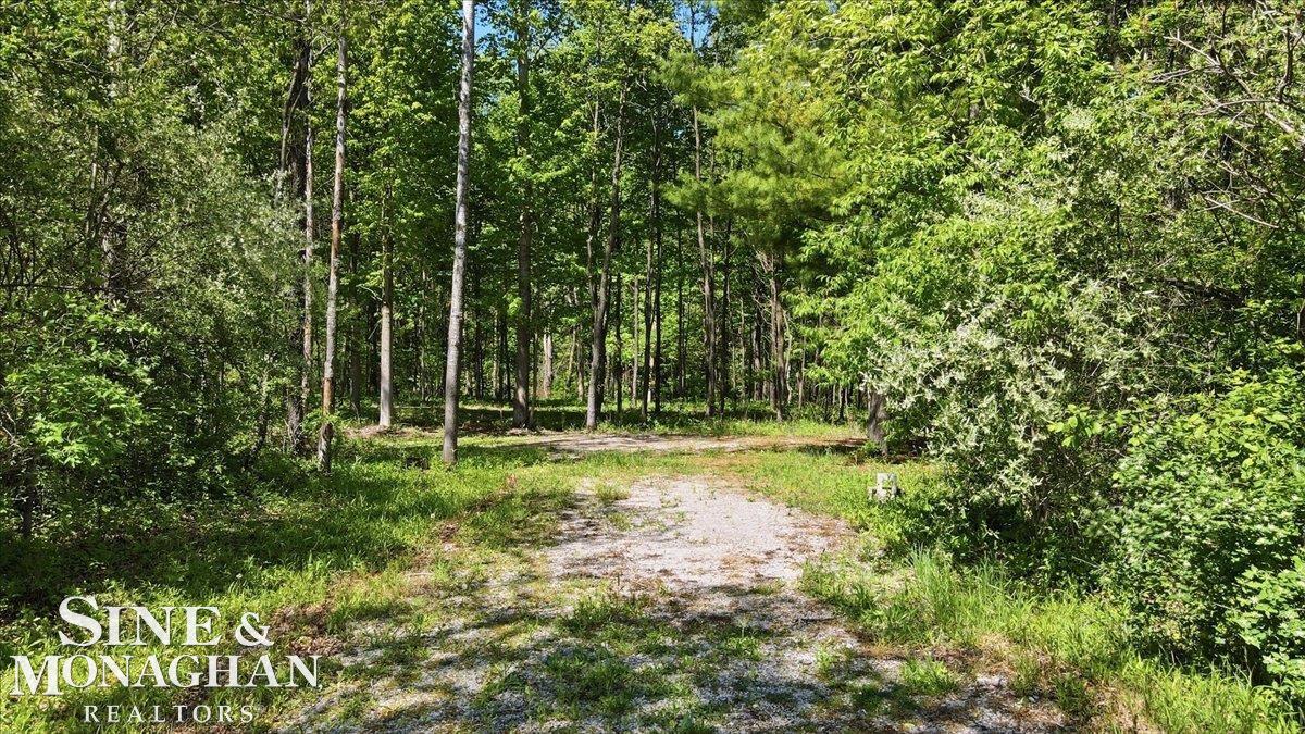 Vl South Bartlett Road St. Clair, MI 48079 - Photo 12 of 14