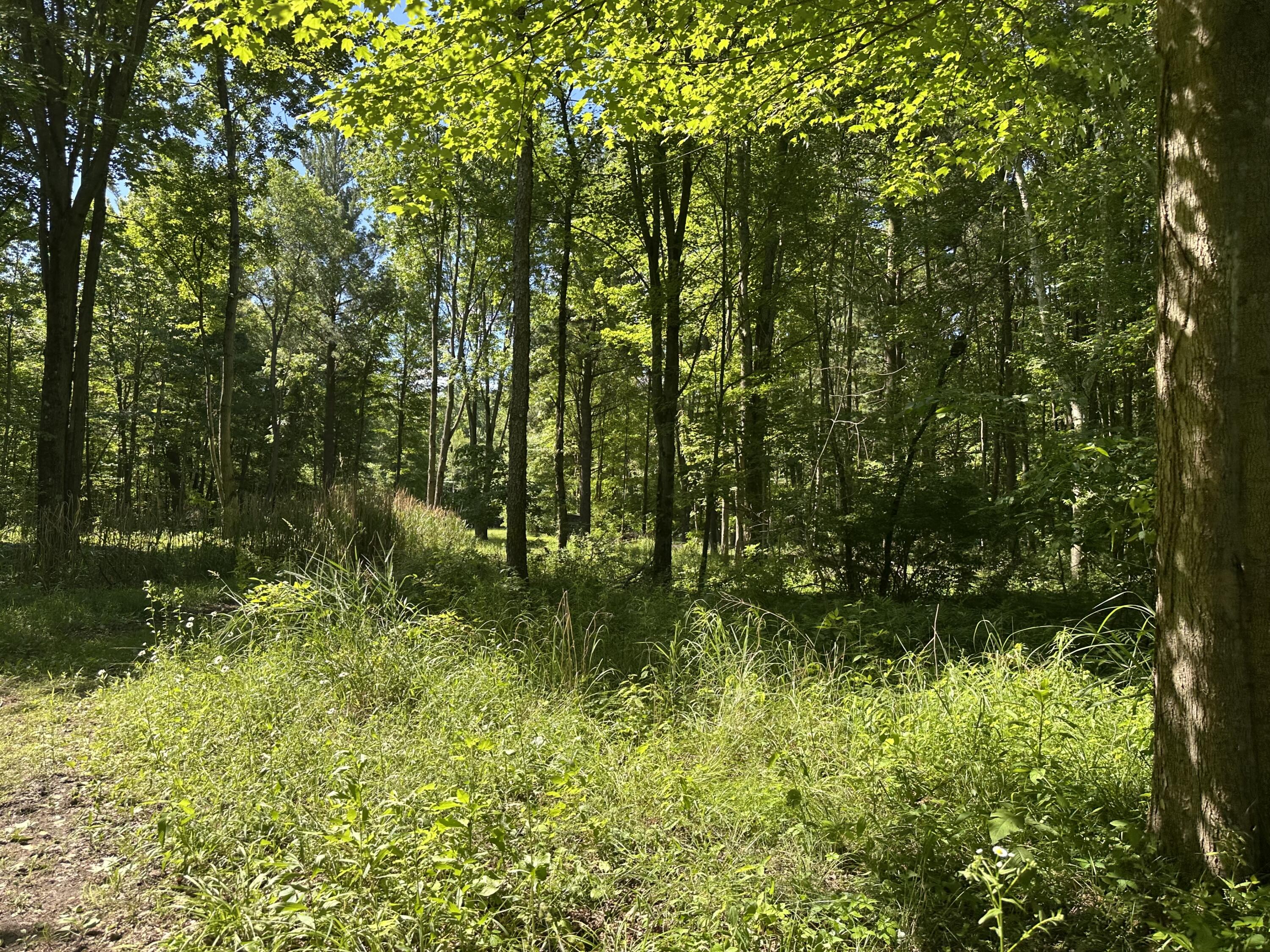 4485 South Miles Road Sheridan, MI 48884 - Photo 67 of 79 IMG_3675