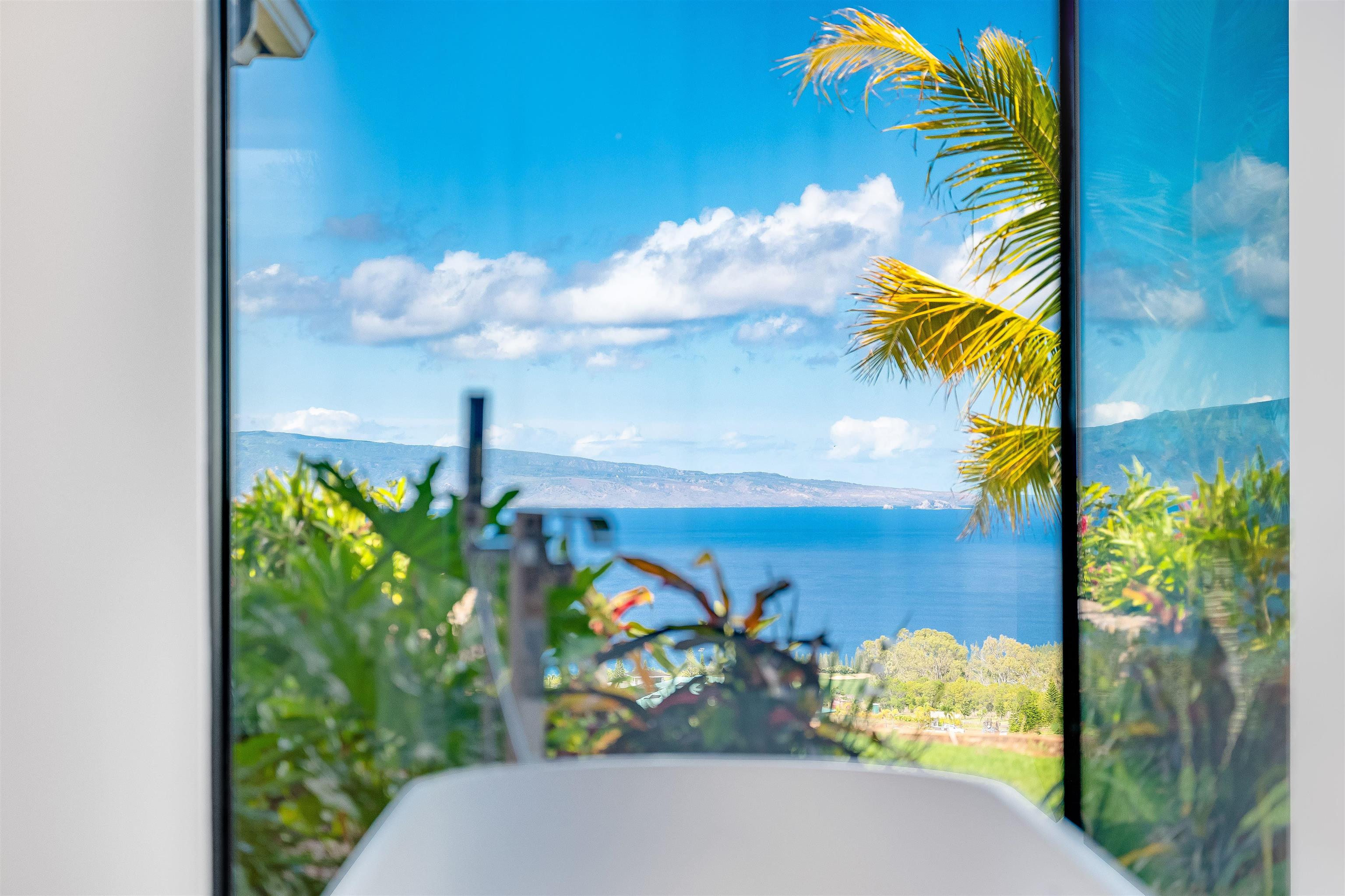 710 Mahana Rdg Street, Unit LOT 46 Lahaina, HI 96761 - Photo 33 of 50 a vase of flowers sitting on a table with painted walls