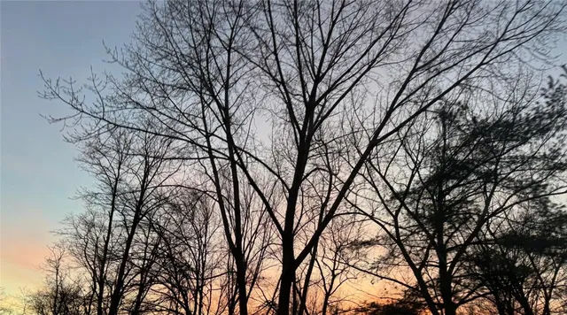 $1,600 | 101 Northrup Avenue, Providence, RI 02904