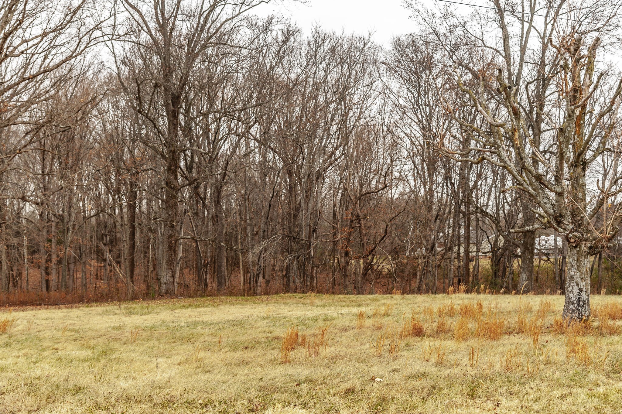 105 Riggs Road Portland, TN 37148 - Photo 6 of 12