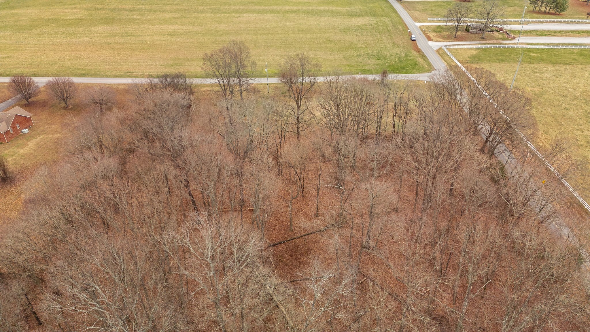 105 Riggs Road Portland, TN 37148 - Photo 9 of 12