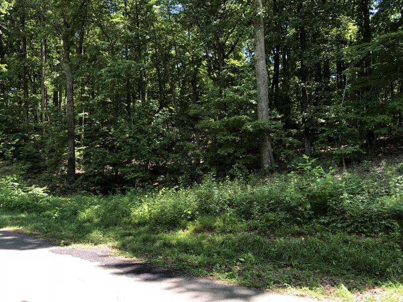 429 Ridge Circle Road Andersonville, TN 37705 - Photo 3 of 5 20180718003046079334000000