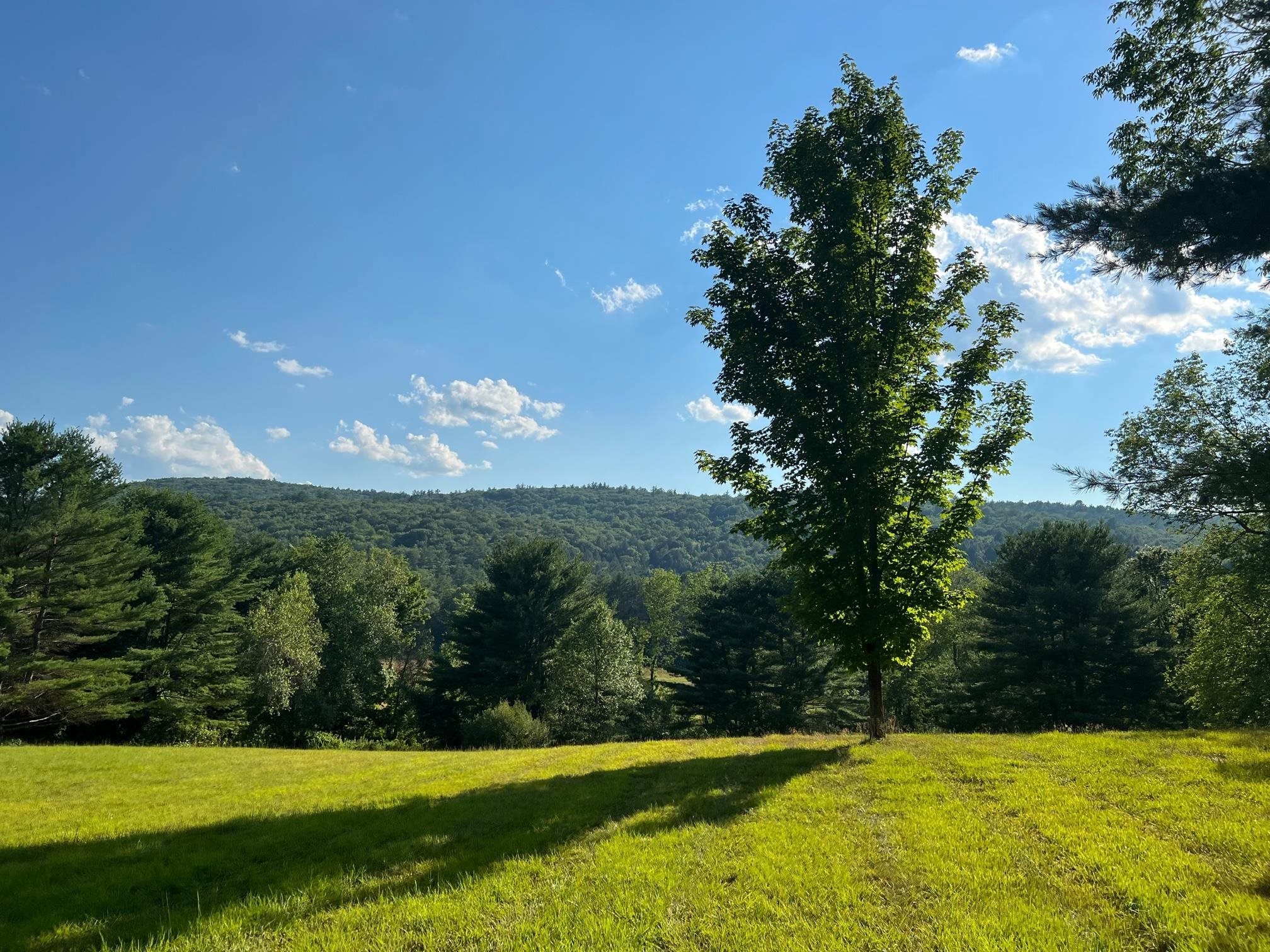 129 Stage Road Chesterfield, NH 03466 - Photo 7 of 26