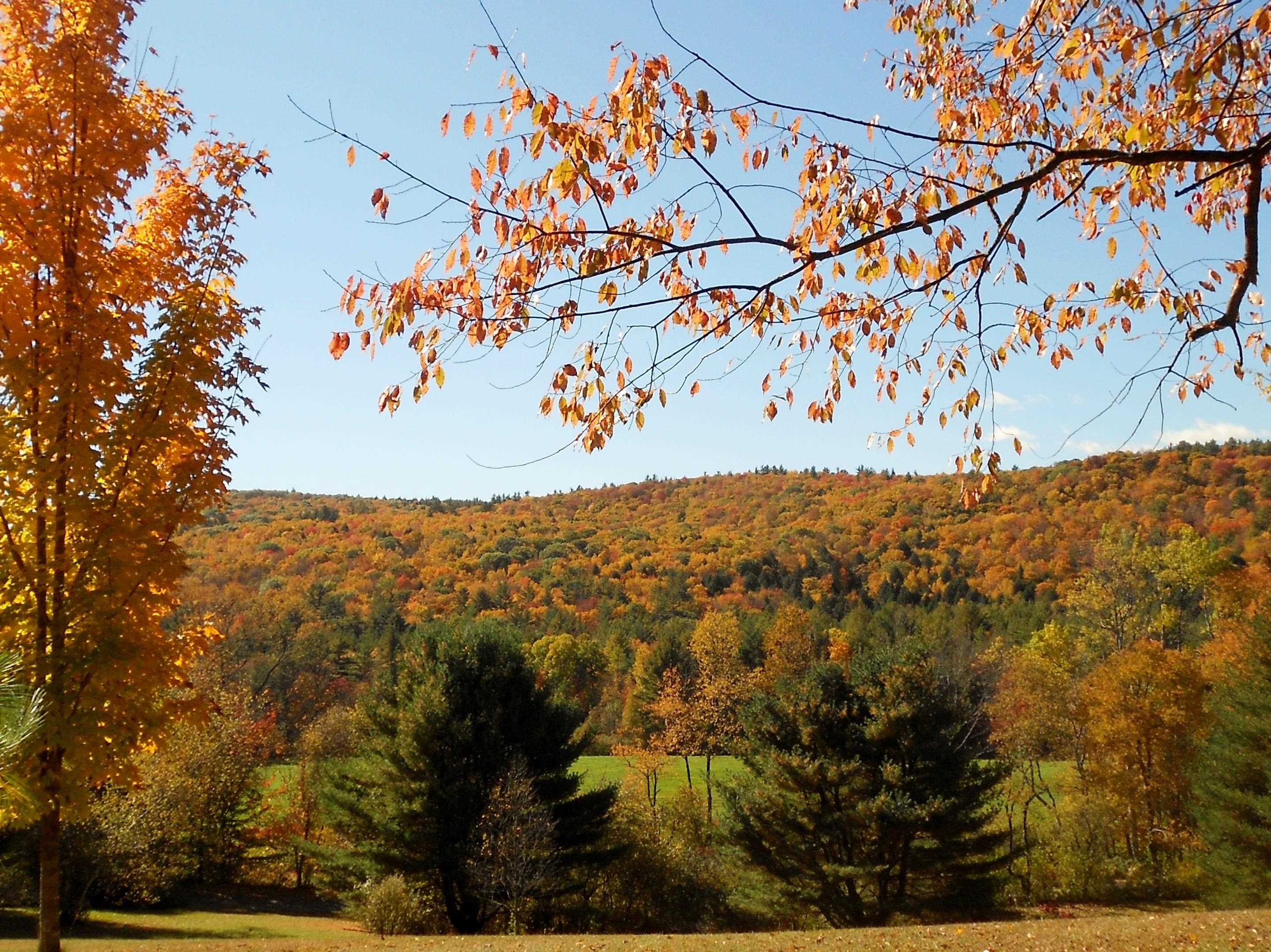 129 Stage Road Chesterfield, NH 03466 - Photo 8 of 26