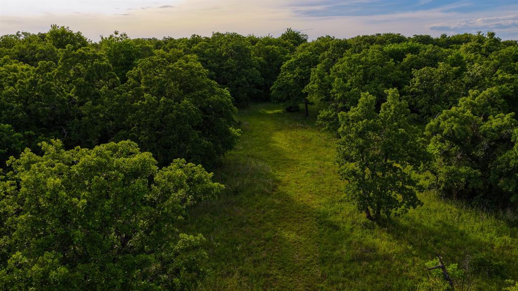3641 Carpenter Road Nocona, TX 76255 - Photo 16 of 38
