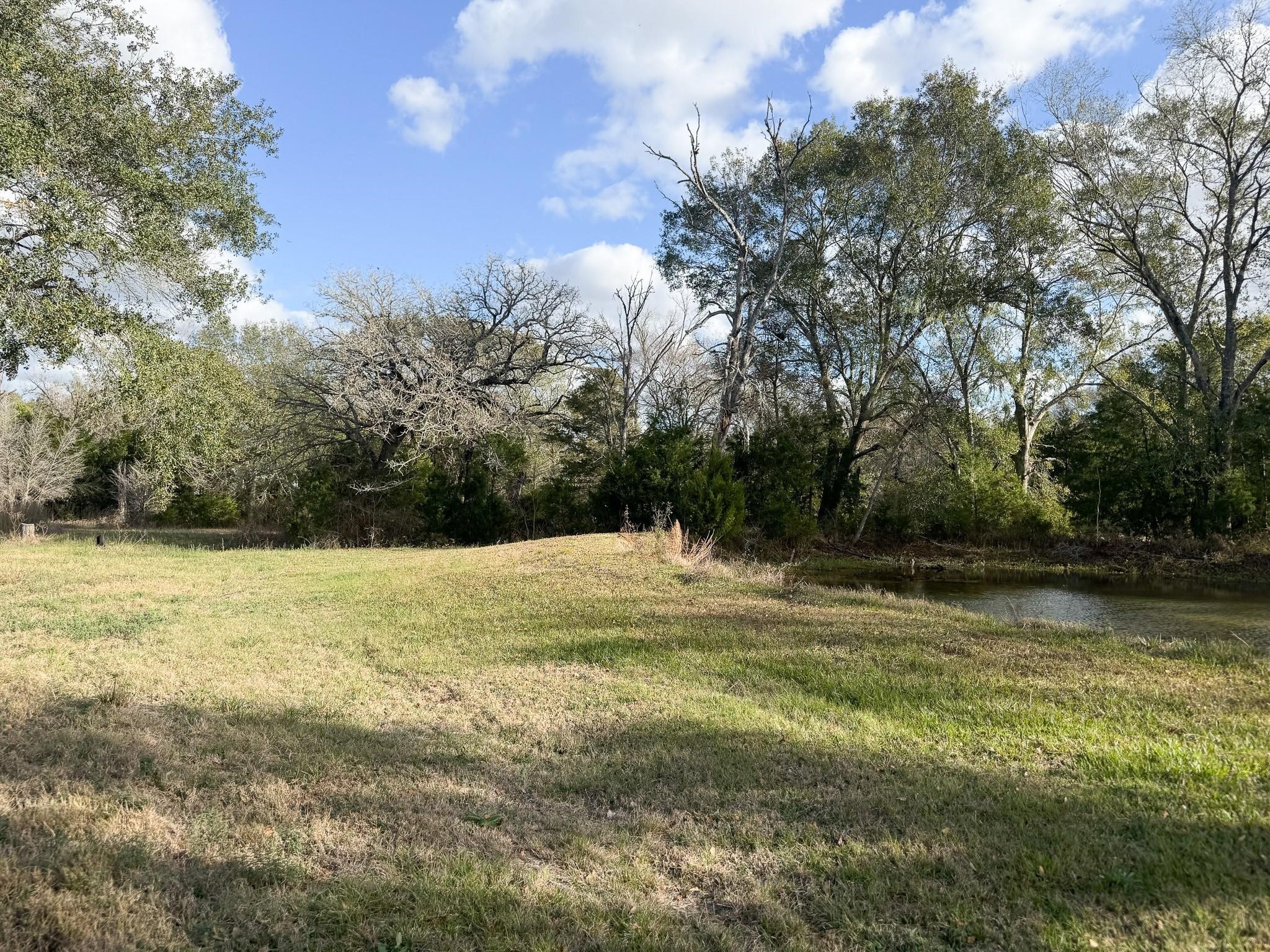8.18-ac Henson Road Hempstead, TX 77445 - Photo 7 of 12