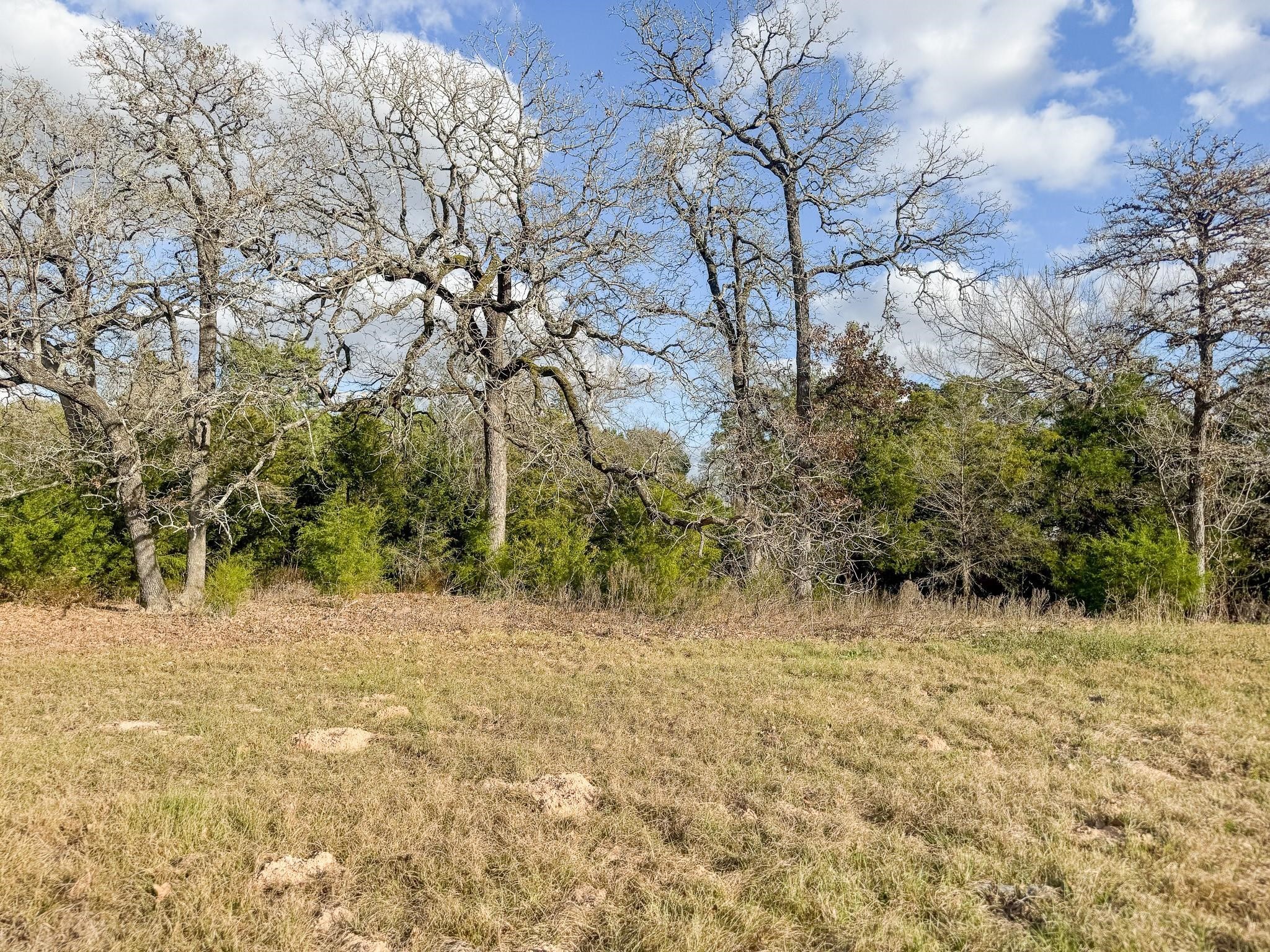 8.18-ac Henson Road Hempstead, TX 77445 - Photo 8 of 12