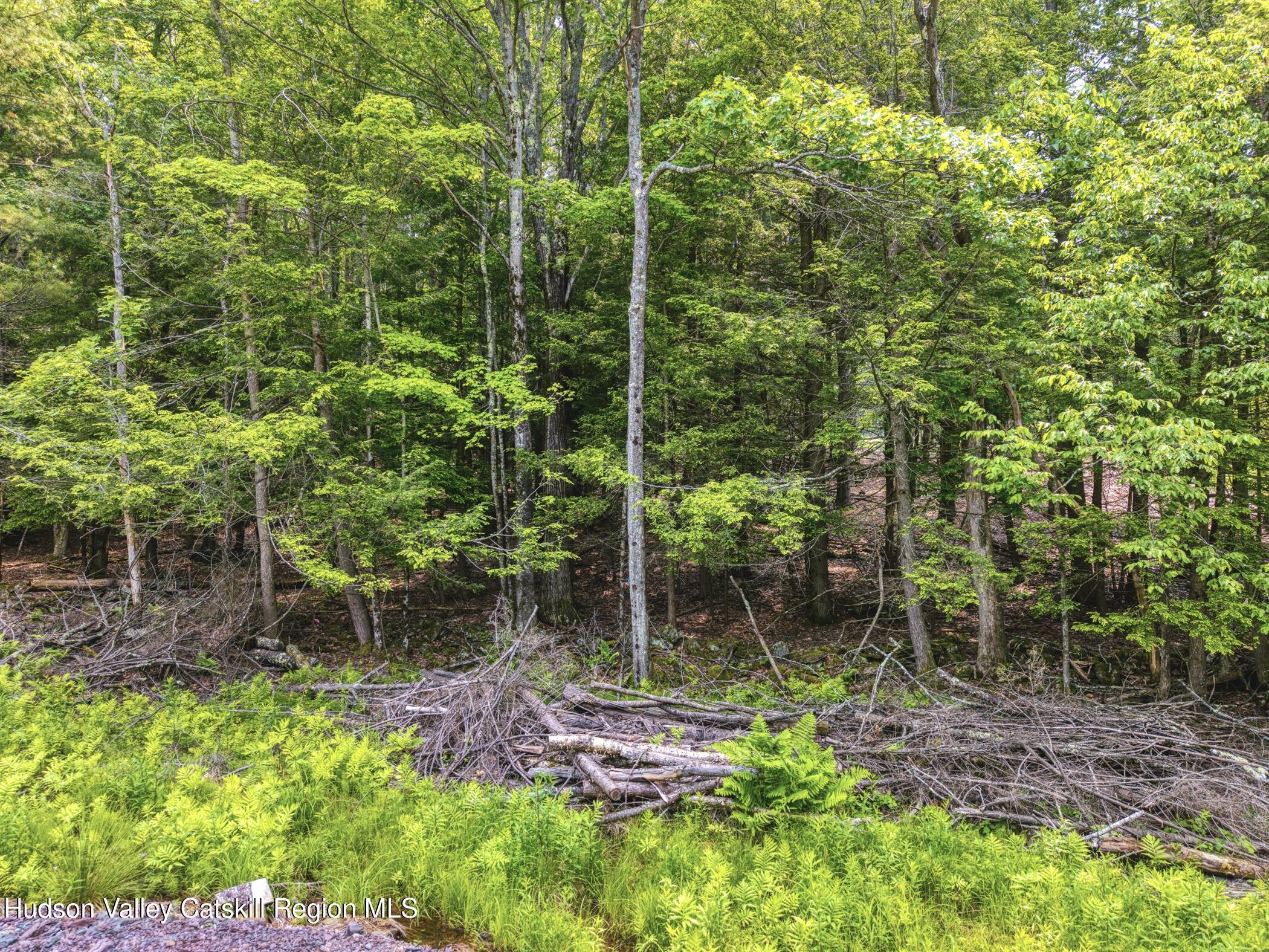 Tbd Boulder Brook Road Windham, NY 12496 - Photo 48 of 57 Image-40