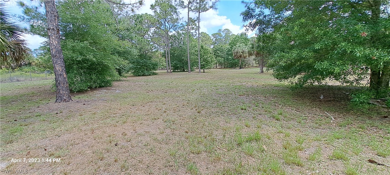555 North Kennel Street Montura Ranches, FL 33440 - Photo 1 of 14 a view of a dirt road with trees in the background