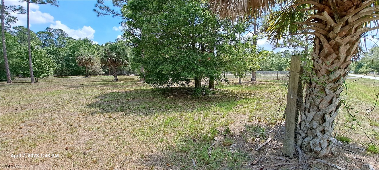 555 North Kennel Street Montura Ranches, FL 33440 - Photo 5 of 14 a view of outdoor space with trees