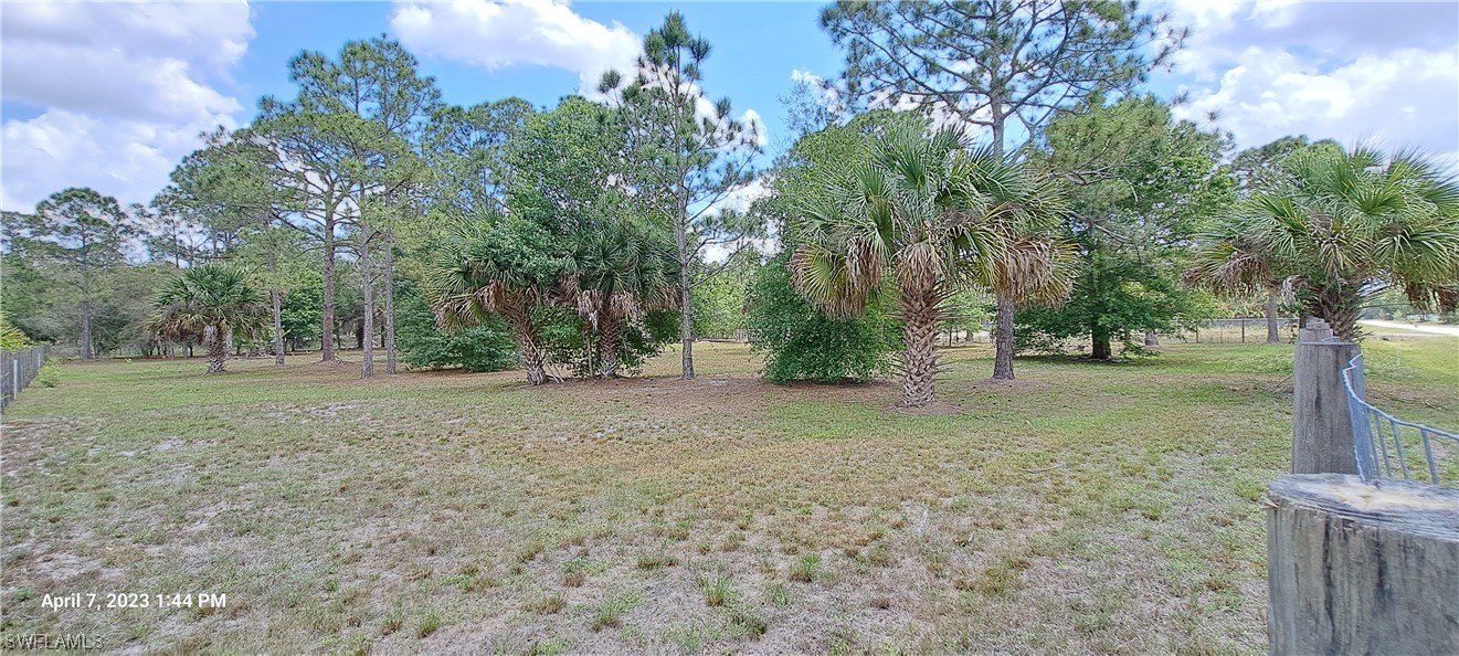 555 North Kennel Street Montura Ranches, FL 33440 - Photo 8 of 14 a view of a tree in the middle of a yard