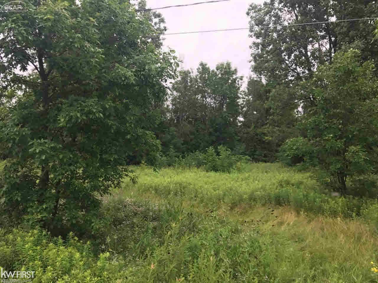 0 West Potter Road Flushing, MI 48433 - Photo 2 of 6 Gallery Image 2
