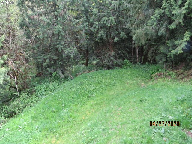75358 Fern Hill Road Rainier, OR 97048 - Photo 30 of 32