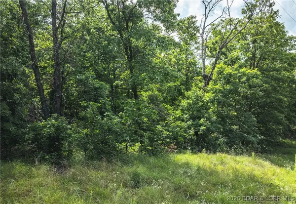 $504,000 | Road-tract 2 Macks Creek, Macks Creek, MO 65786