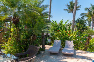 1381 Southwest 5th Avenue Boca Raton, FL 33432 - Photo 26 of 29 Tropical Privacy