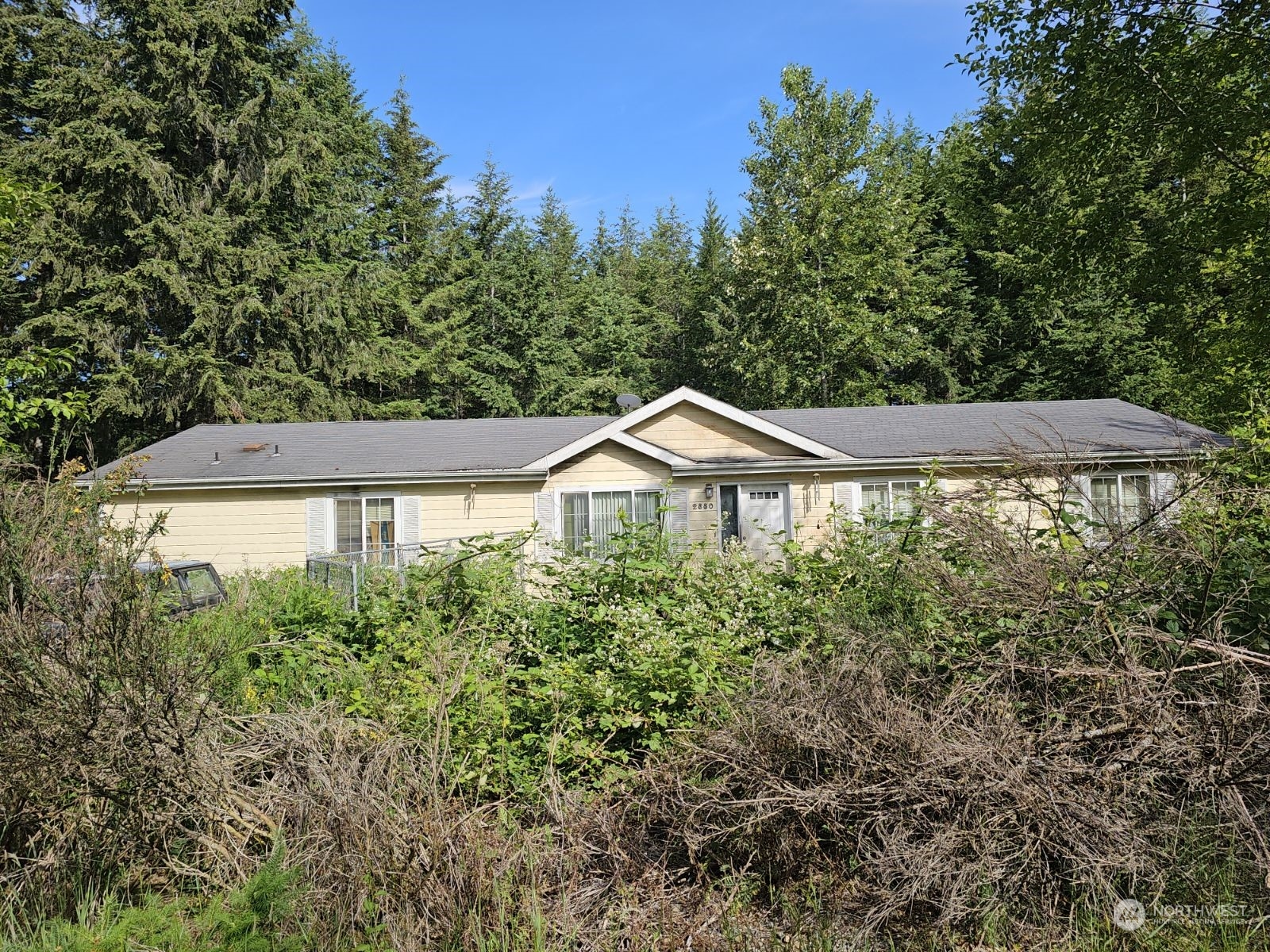 2880 East Rasor Road Belfair, WA 98528 - Photo 1 of 1 Gallery Image 1