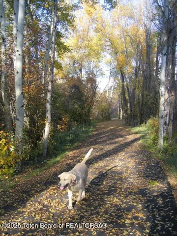 $159,500 | 810 Eagles Rest Drive, Driggs, ID 83422