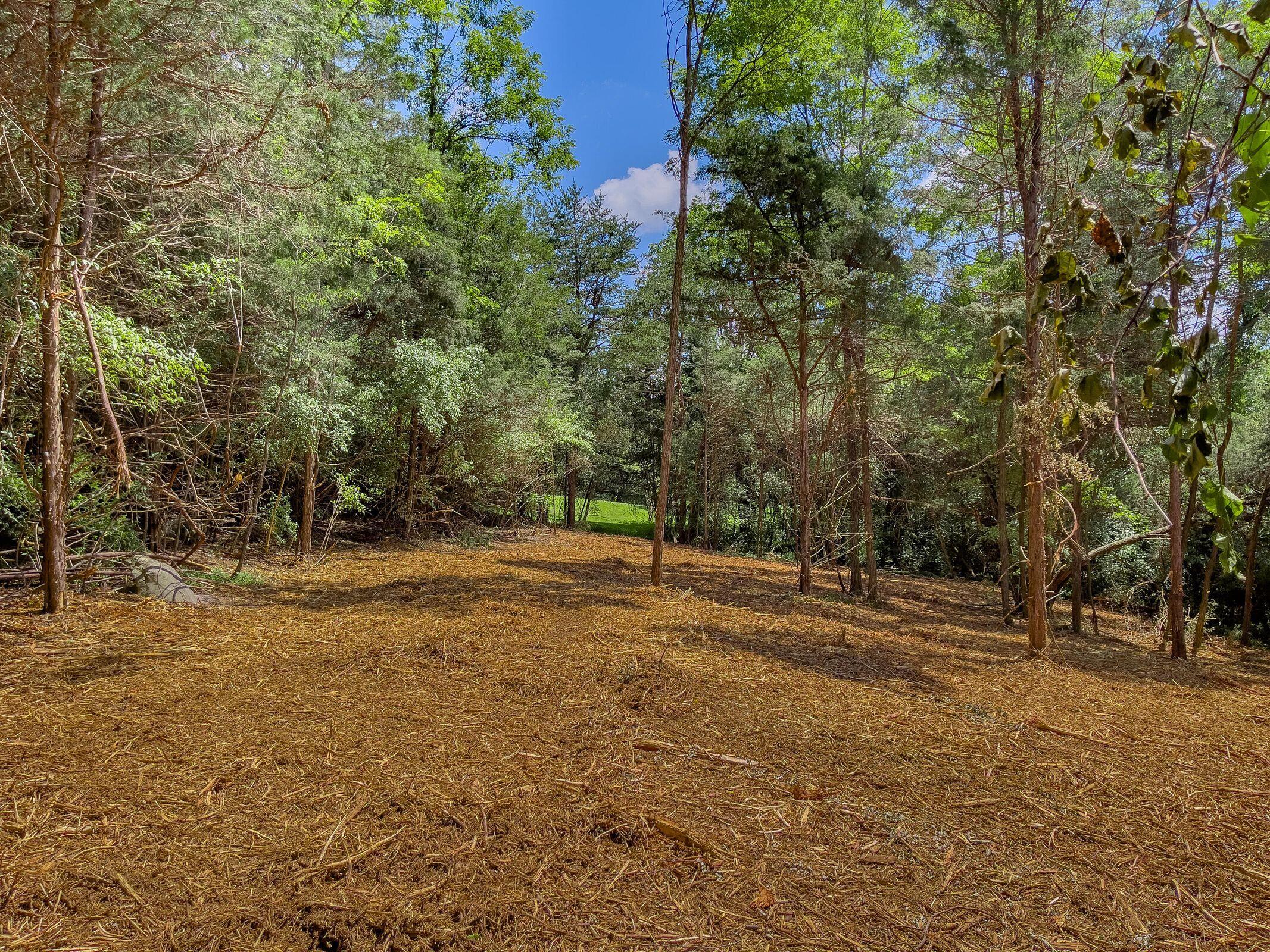 Lot 1 Shenandoah Road Lexington, VA 24450 - Photo 2 of 11 2 TBD Lot 1 Shenandoah Rd