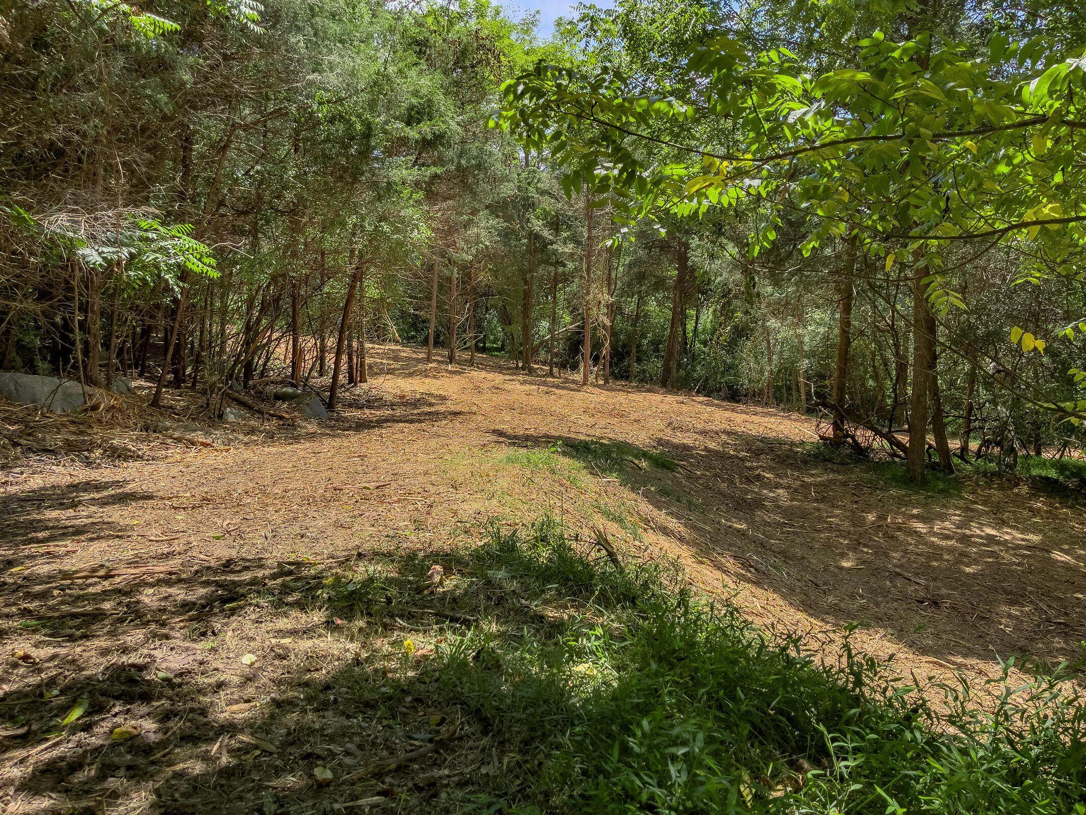 Lot 1 Shenandoah Road Lexington, VA 24450 - Photo 7 of 11 7 TBD Lot 1 Shenandoah Rd