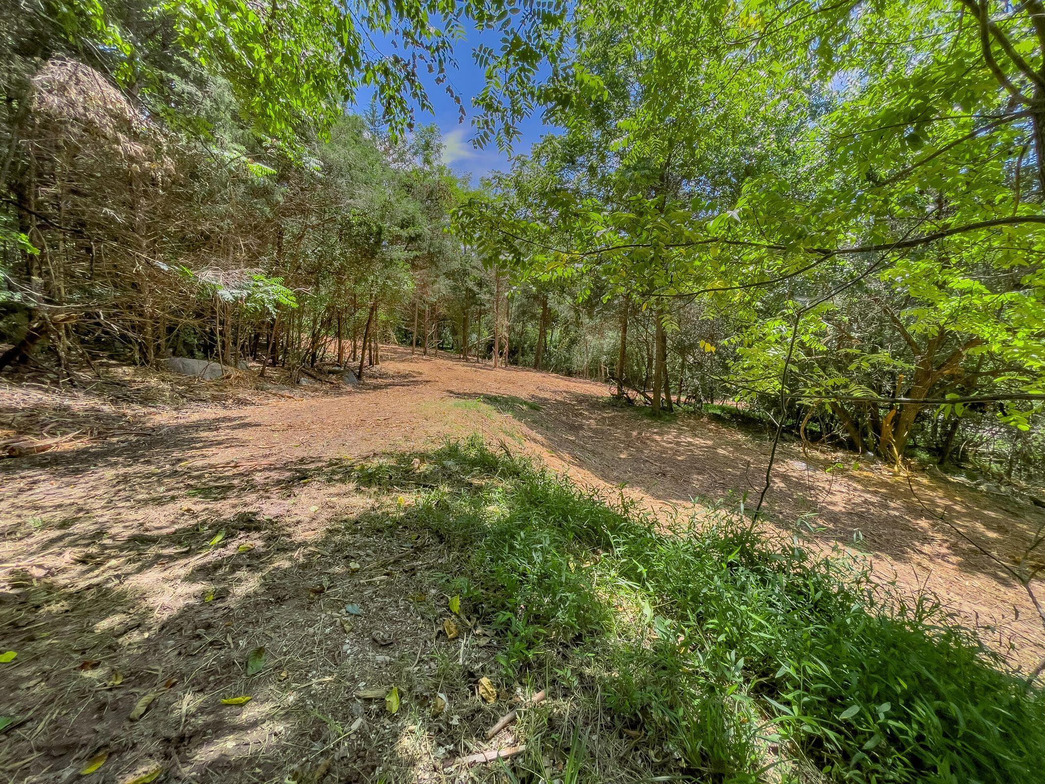 Lot 1 Shenandoah Road Lexington, VA 24450 - Photo 8 of 11 8 TBD Lot 1 Shenandoah Rd