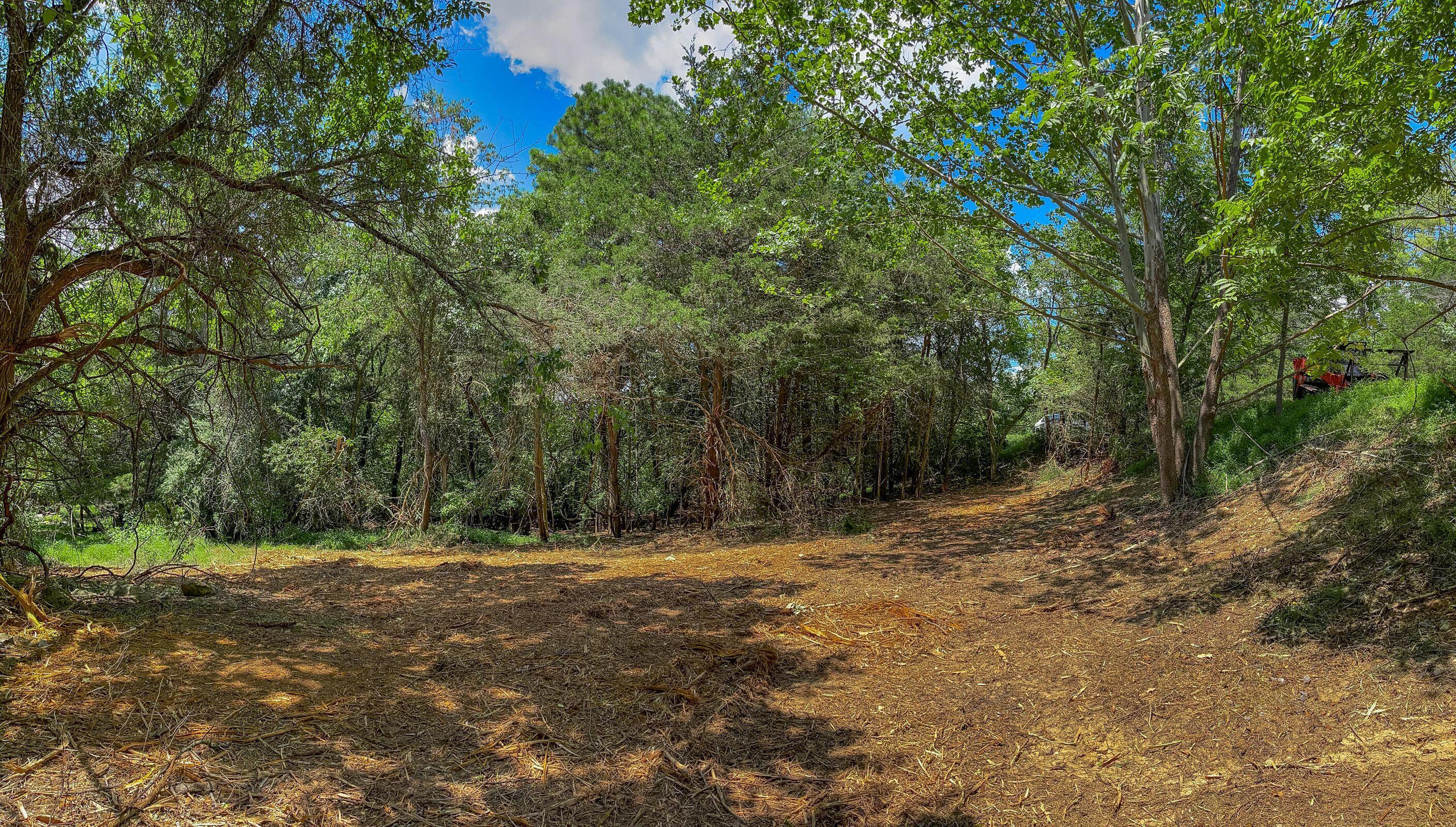 Lot 1 Shenandoah Road Lexington, VA 24450 - Photo 10 of 11 10 TBD Lot 1 Shenandoah Rd