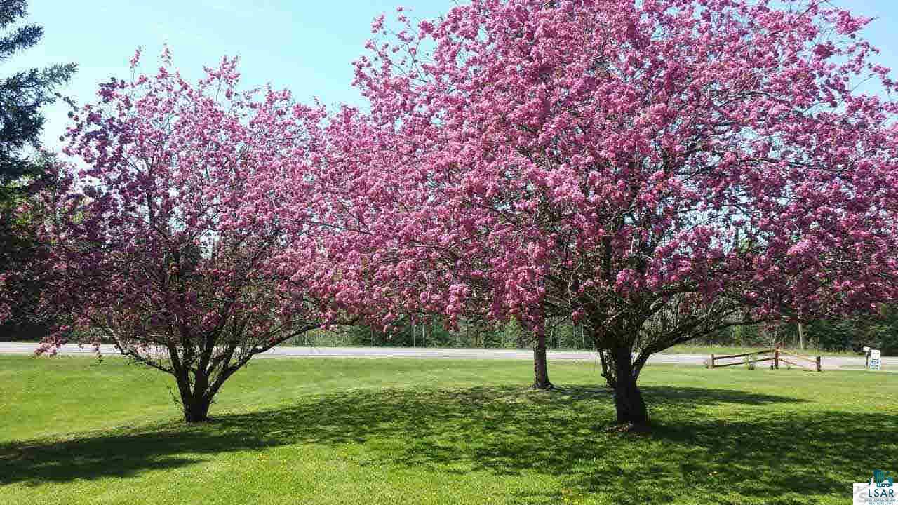 77510 County Road Iron River, WI 54847 - Photo 11 of 16