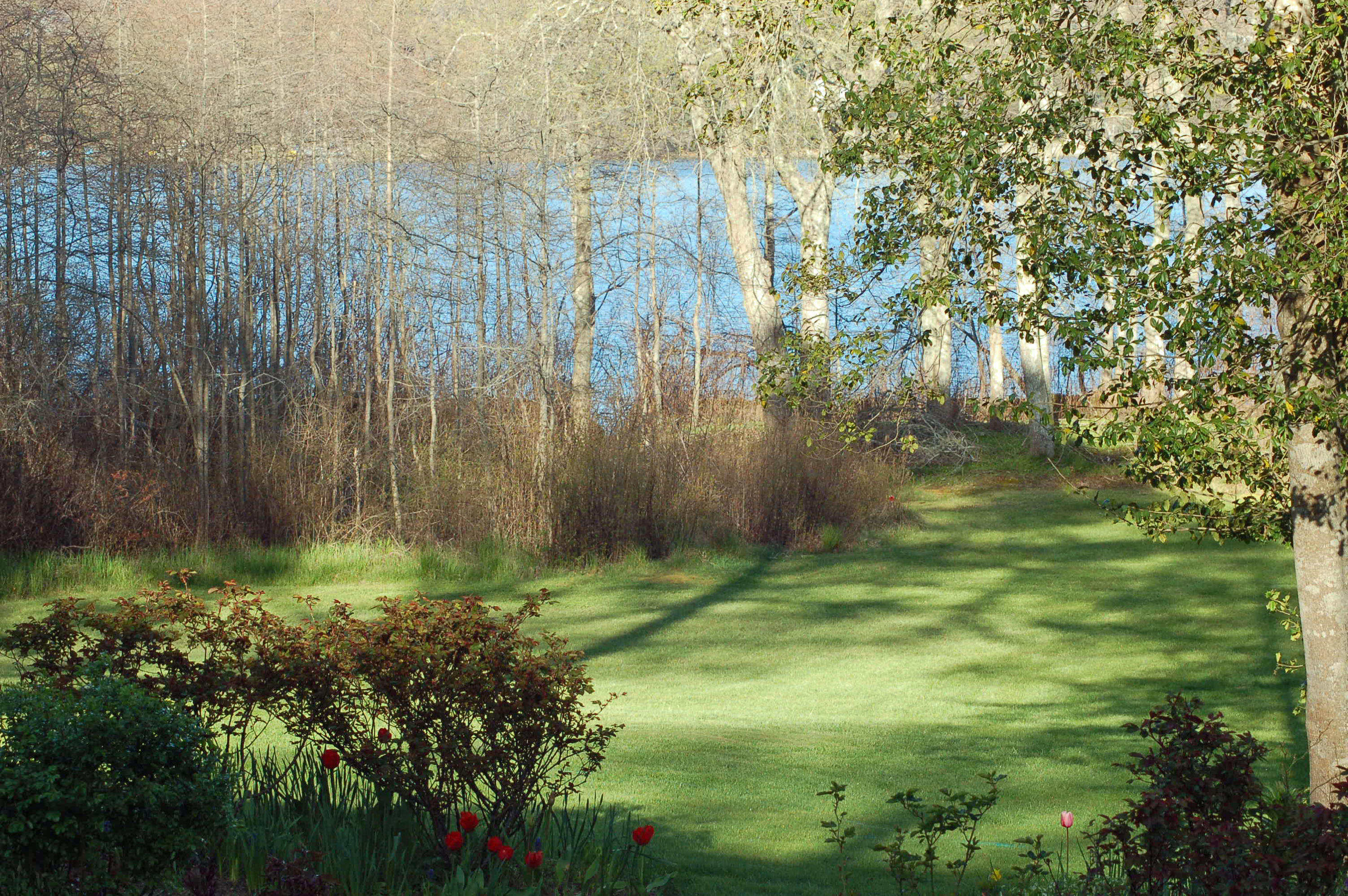 69 Crescent Road Mashpee, MA 02649 - Photo 41 of 50 DSC_0118