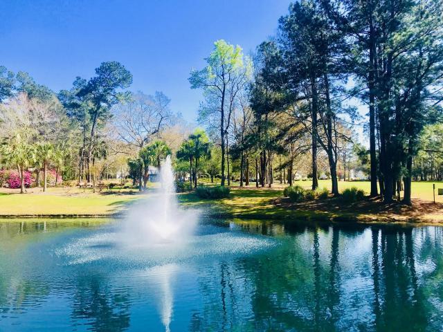 7846 Montview Road North Charleston, SC 29418 - Photo 48 of 50 PRE Fountain