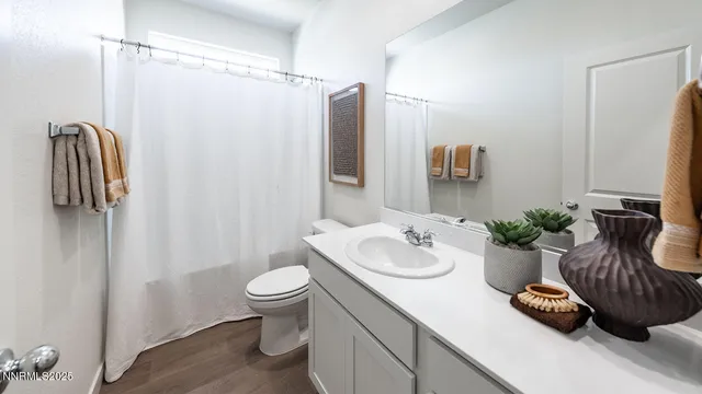 a bathroom with a sink a toilet and shower curtain