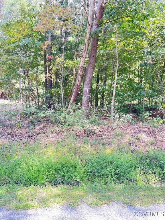 0 Jackson Shop Road Goochland, VA 23063 - Photo 5 of 15 Gallery Image 5