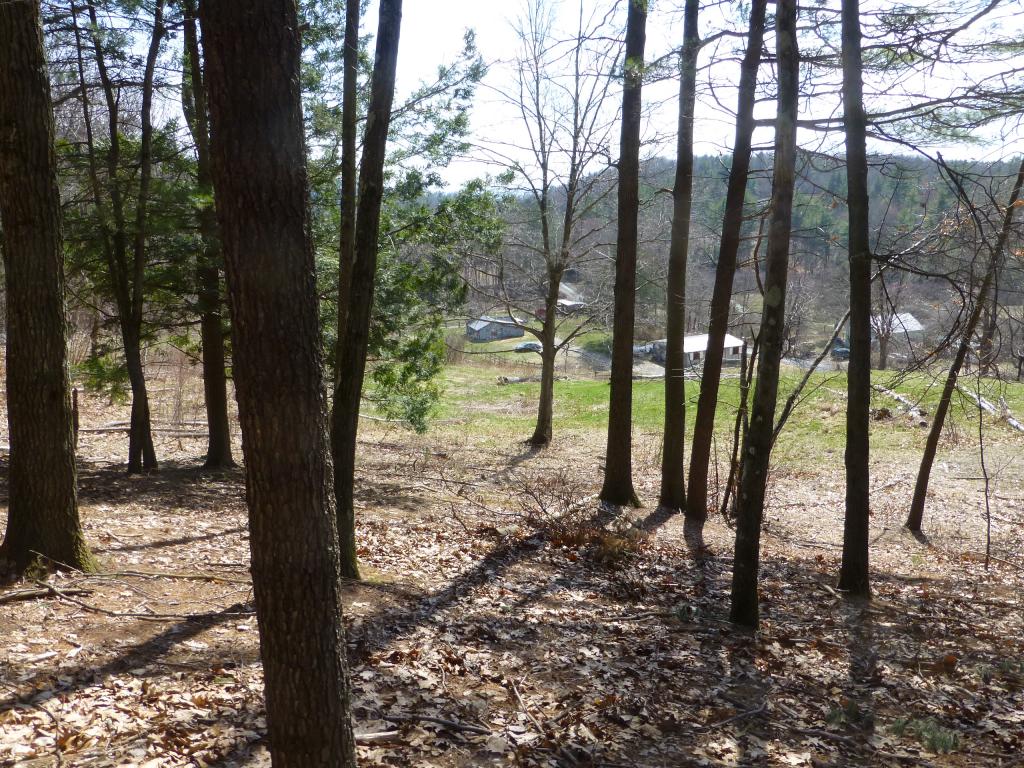 296 Burt Hill Road Winchester, NH 03470 - Photo 3 of 16 Gallery Image 3