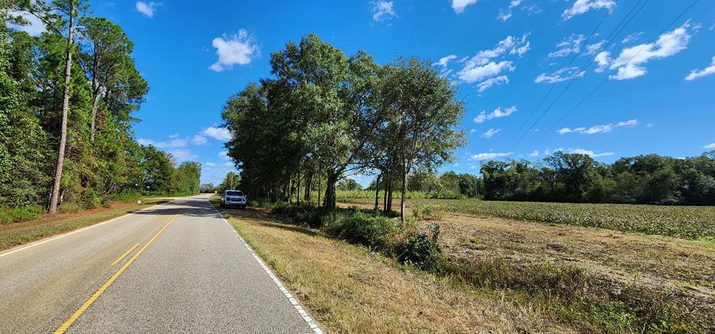 92 County Road 92 Slocomb, AL 36375 - Photo 1 of 32
