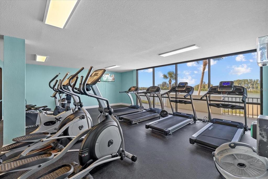 6009 Sea Ranch Drive, Unit 303 Hudson, FL 34667 - Photo 31 of 48 a view of a room with gym equipment