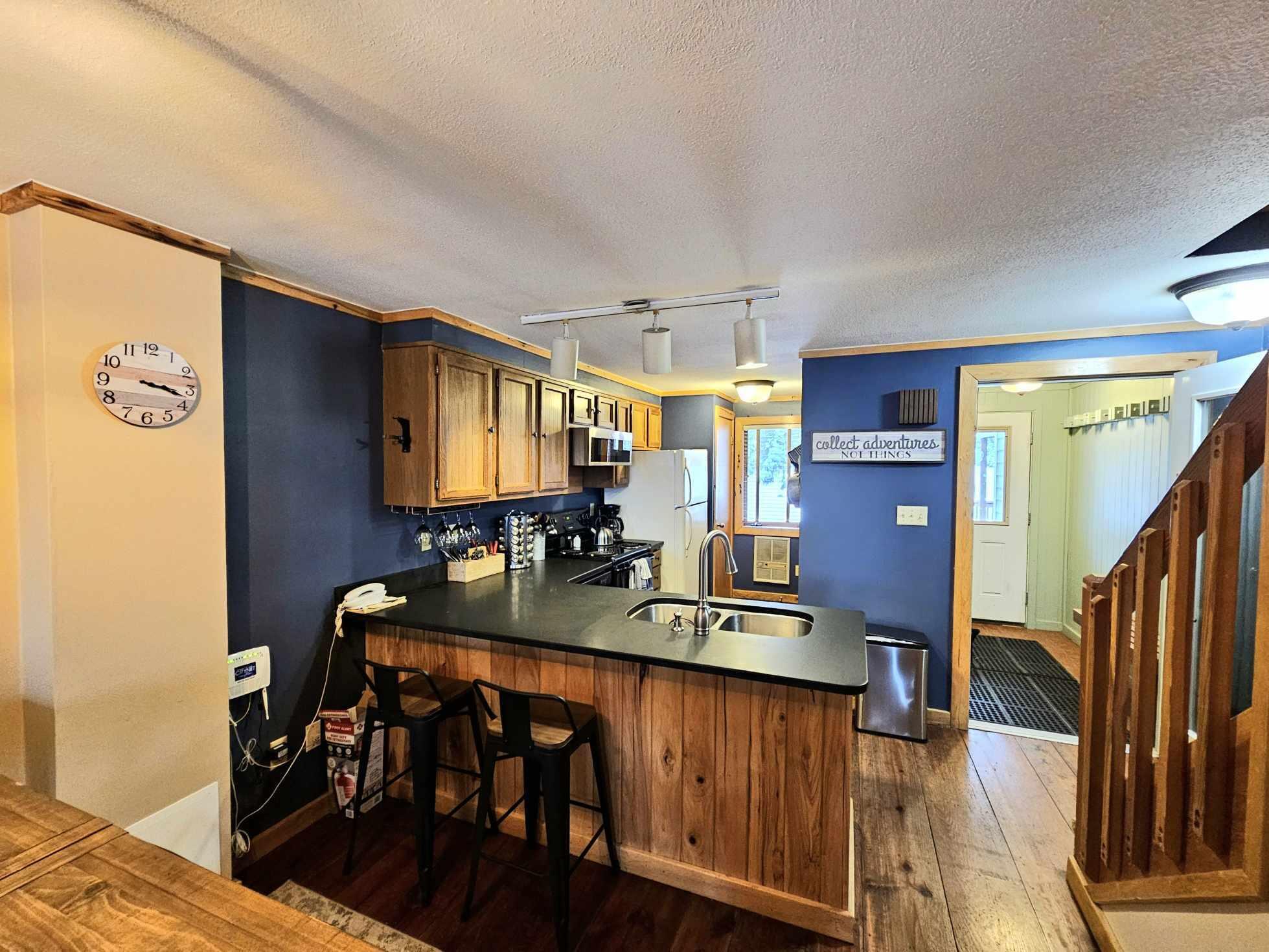 49 Powderidge Road Snowshoe, WV 26209 - Photo 4 of 25 Gallery Image 4