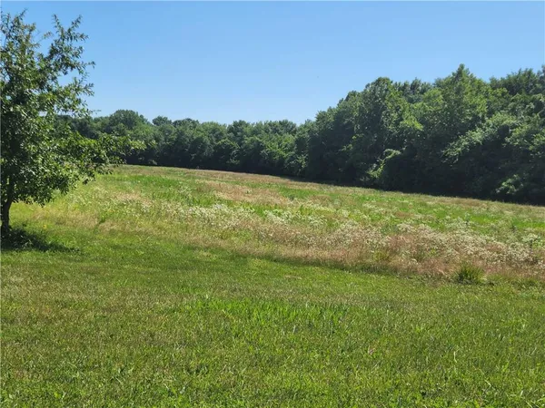 $150,000 | 10-acres East 209th Street, Kingsville, MO 64061